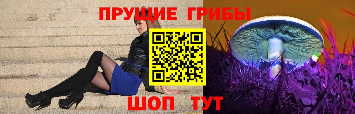 Галлюциногенные грибы GOLDEN TEACHER Мелеуз